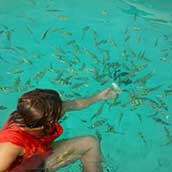 プーケットお薦めツアー