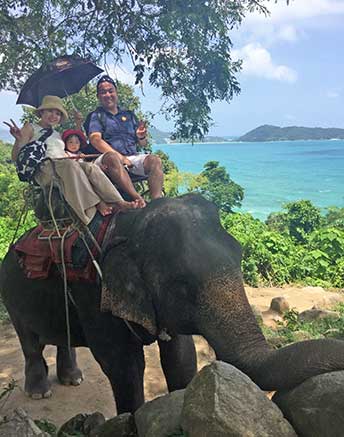 象のりシービュ―