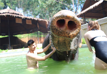 エレファントキャンプ