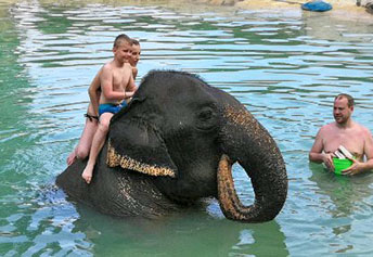 エレファントキャンプ