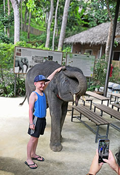 エレファントキャンプ