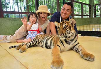 タイガーキングダム