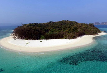 ピピバンブー日本語