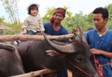 サイアムニラミット プーケット8