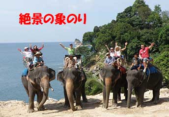 象のりシービュー