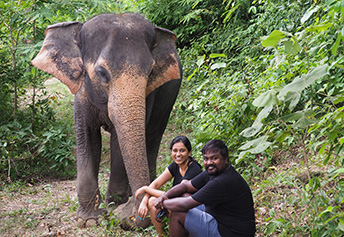 エレファントLover