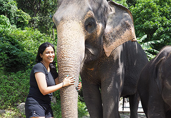 エレファントLover