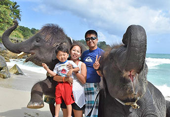 スイミングウィズエレファント