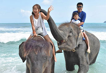 スイミングウィズエレファント