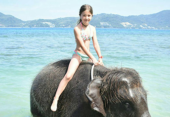 スイミングウィズエレファント