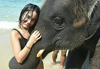 スイミングウィズエレファント