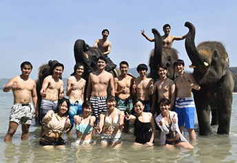 スイミングウィズエレファント