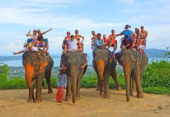 ビックブッダ象のり