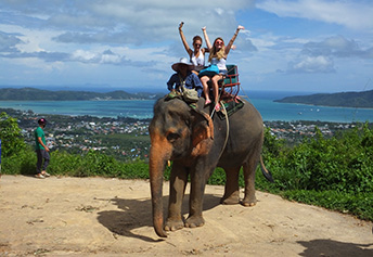 ビックブッダ象のり