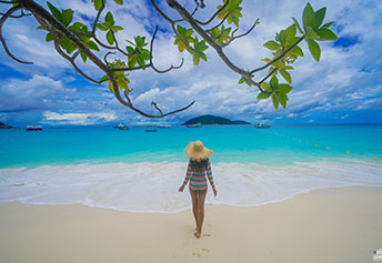 シミラン島ツアー