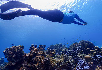 シミラン島ツアー