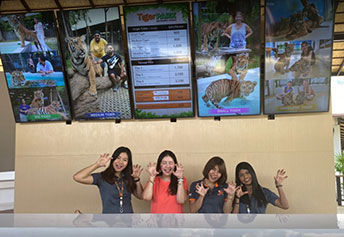 タイガーパーク